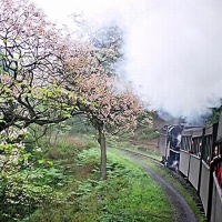 mini steam engine train jiayang